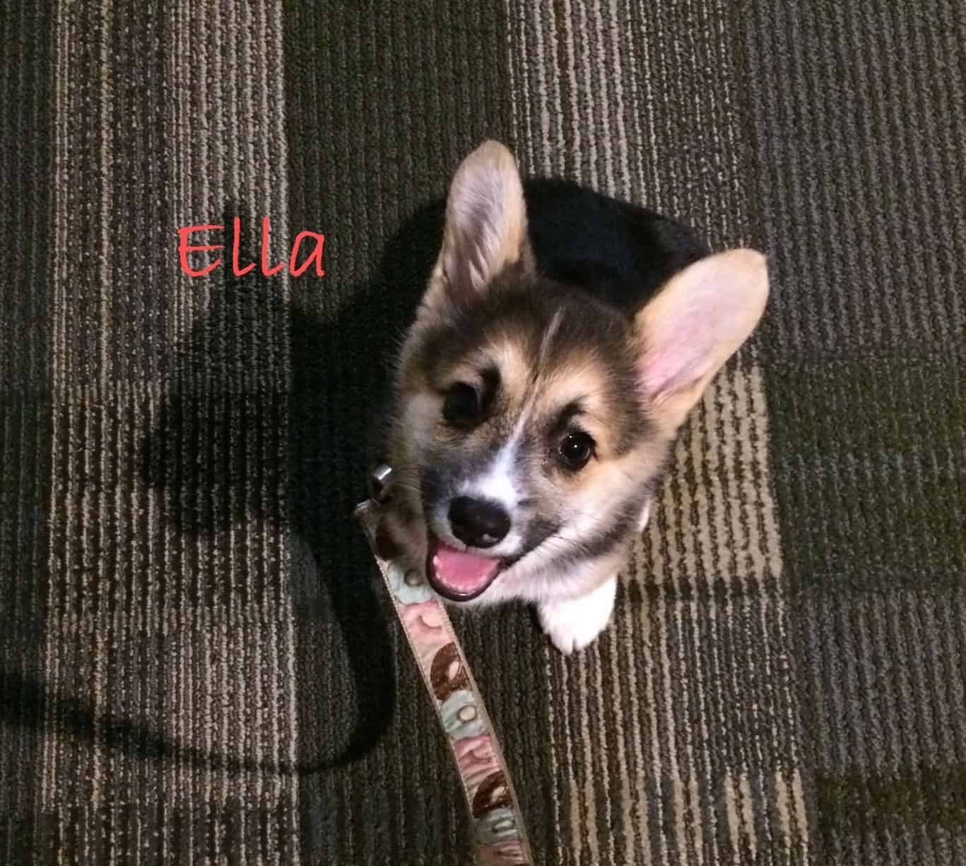 Superstar Ella with name CROPPED